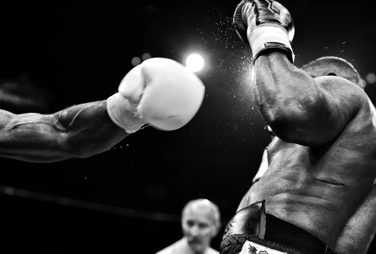 A ascensao das fintechs no universo dos esportes de combate